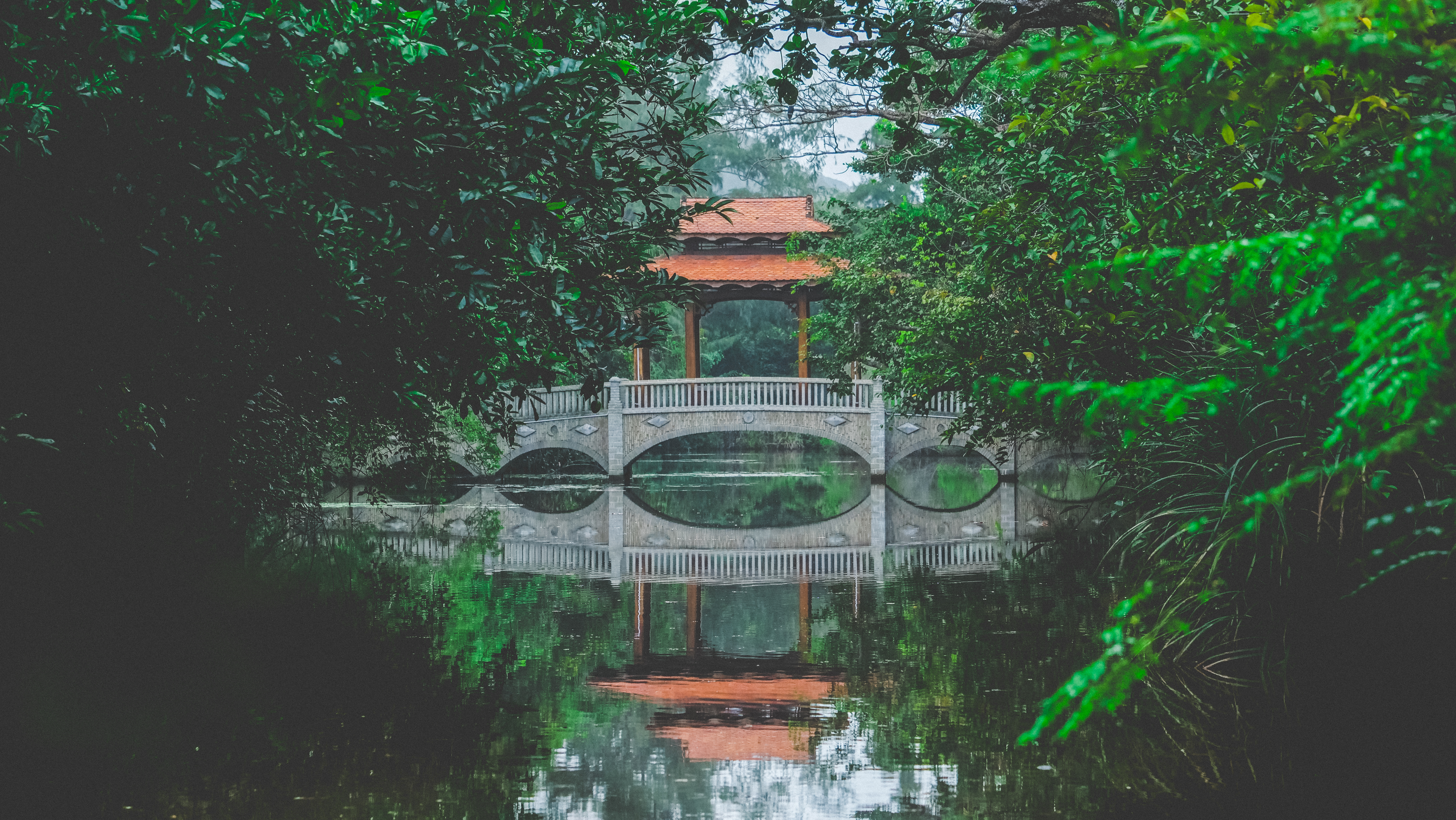 lĩnh vực hoạt động